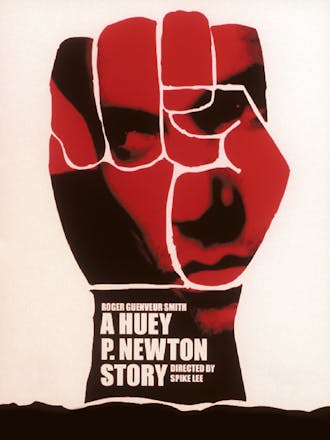 Watch online movie newton The Newton