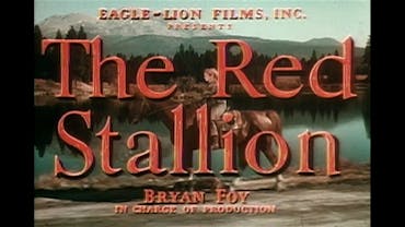 The Red Stallion