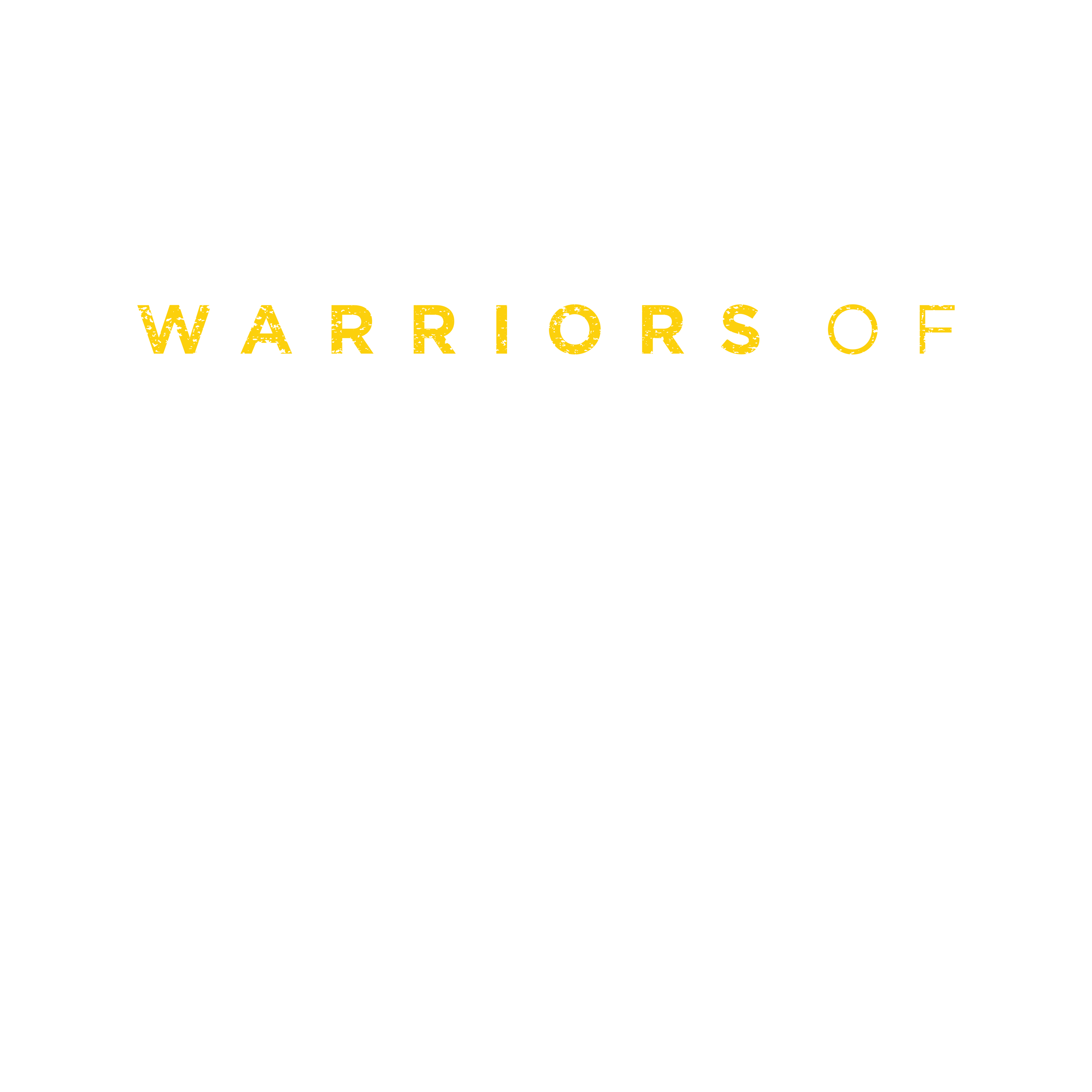 Warriors Of Liberty City