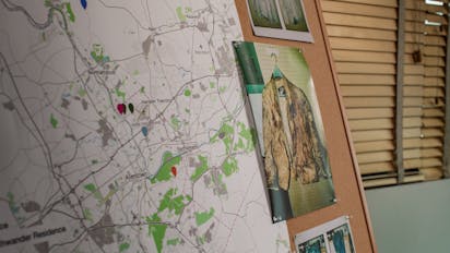 S2 E4 - Patricia Rorrer: Under the Microscope