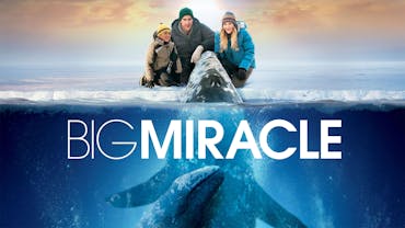 Big Miracle