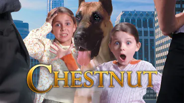 Chestnut: Hero of Central Park