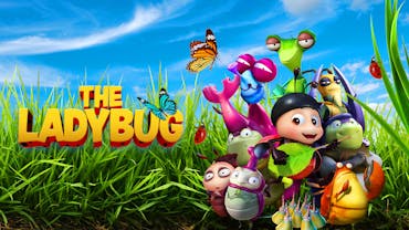 The Ladybug
