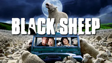 Black Sheep