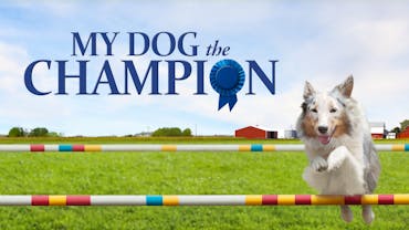 My Dog The Champion