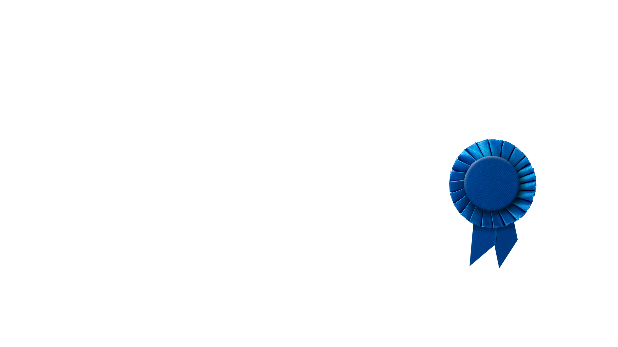 My Dog The Champion