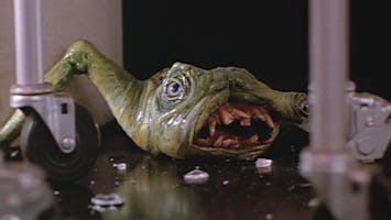 Metamorphosis: The Alien Factor