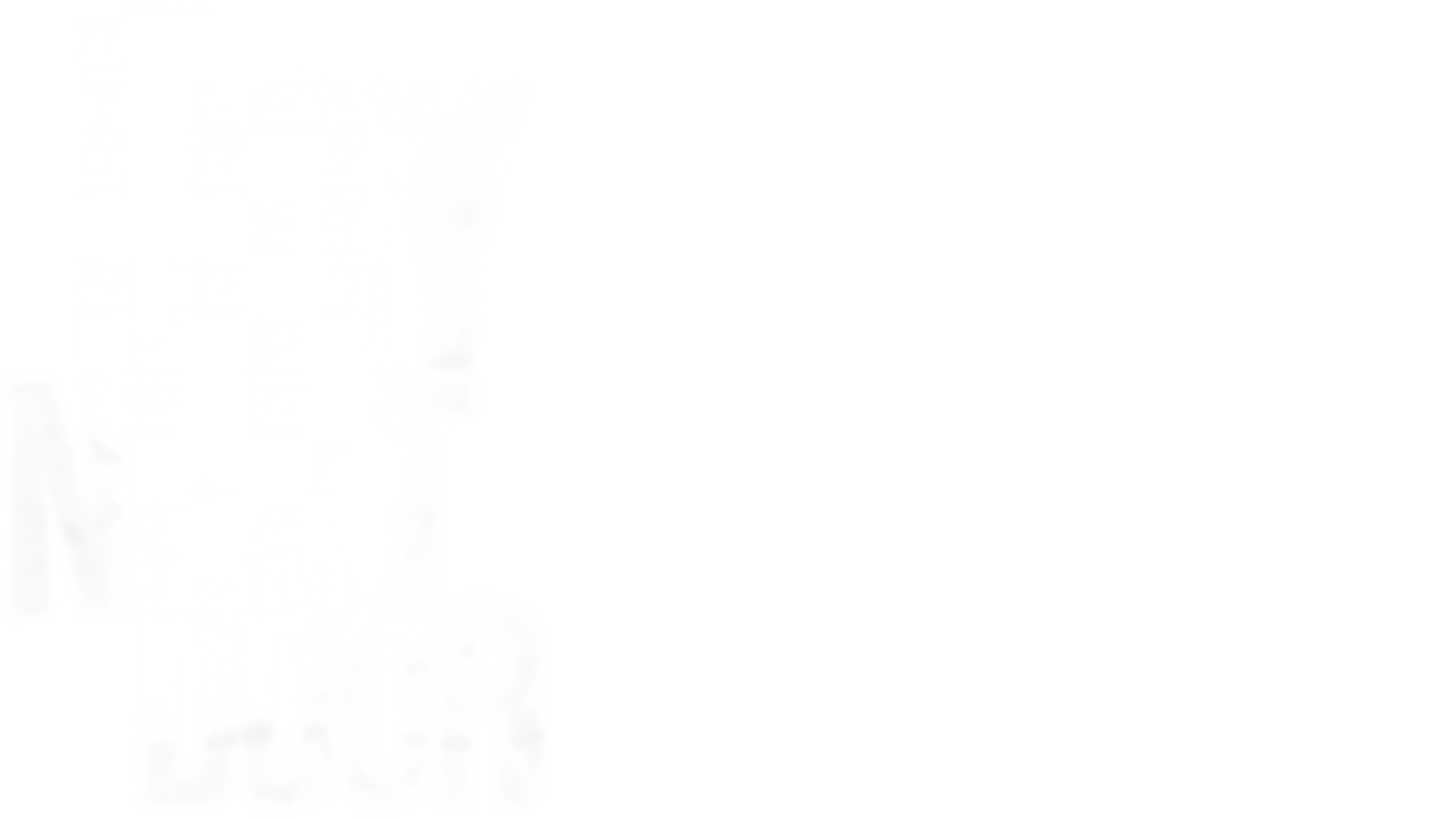 The Boy Next Door